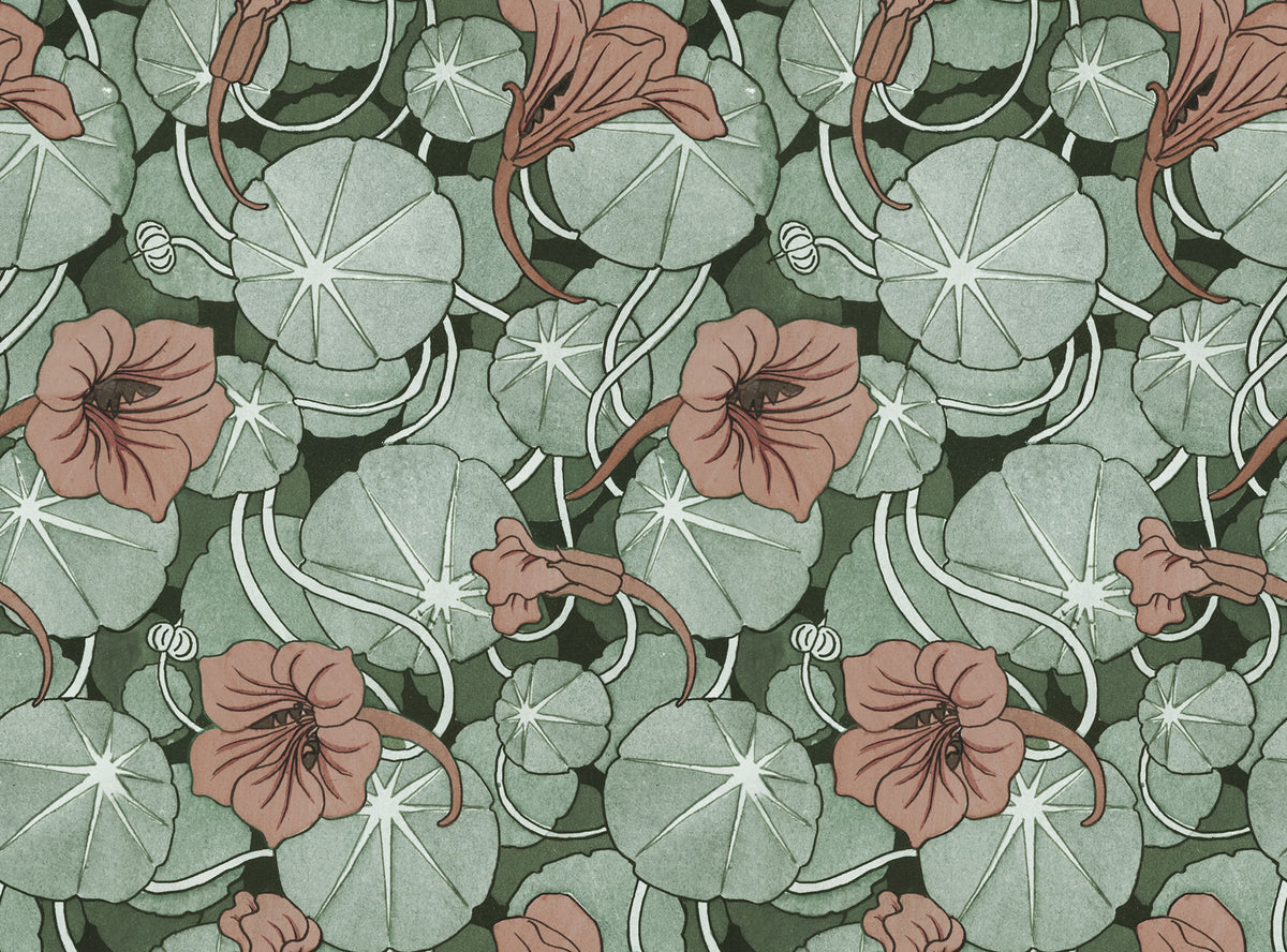 Nasturtium Verdure, Peachy Rose Mural Wallpaper - pure wallpaper artwork