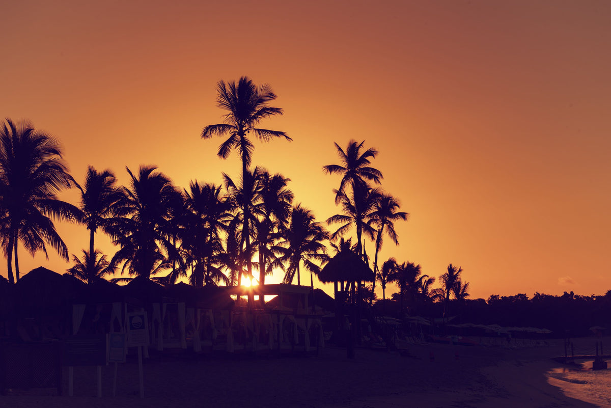Early Morning Surf Mural Wallpaper - pure wallpaper artwork