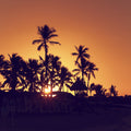 Early Morning Surf Mural Wallpaper - pure wallpaper artwork