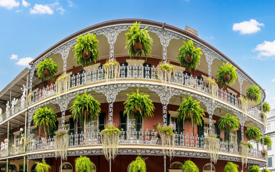 New Orleans Around the Corner Mural Wallpaper