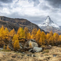 Matterhorn Fall Mural Wallpaper - pure wallpaper artwork