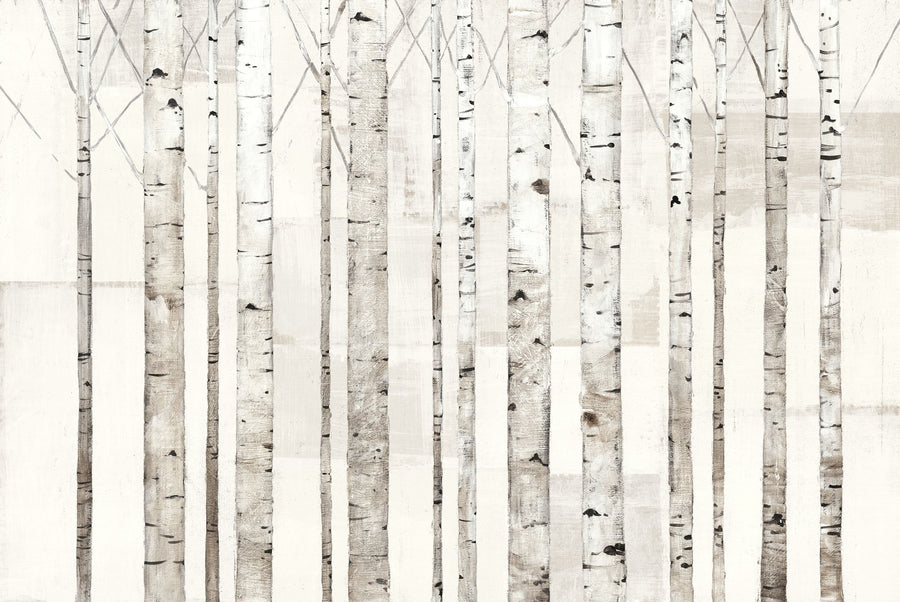 Birch Trees on White Mural Wallpaper
