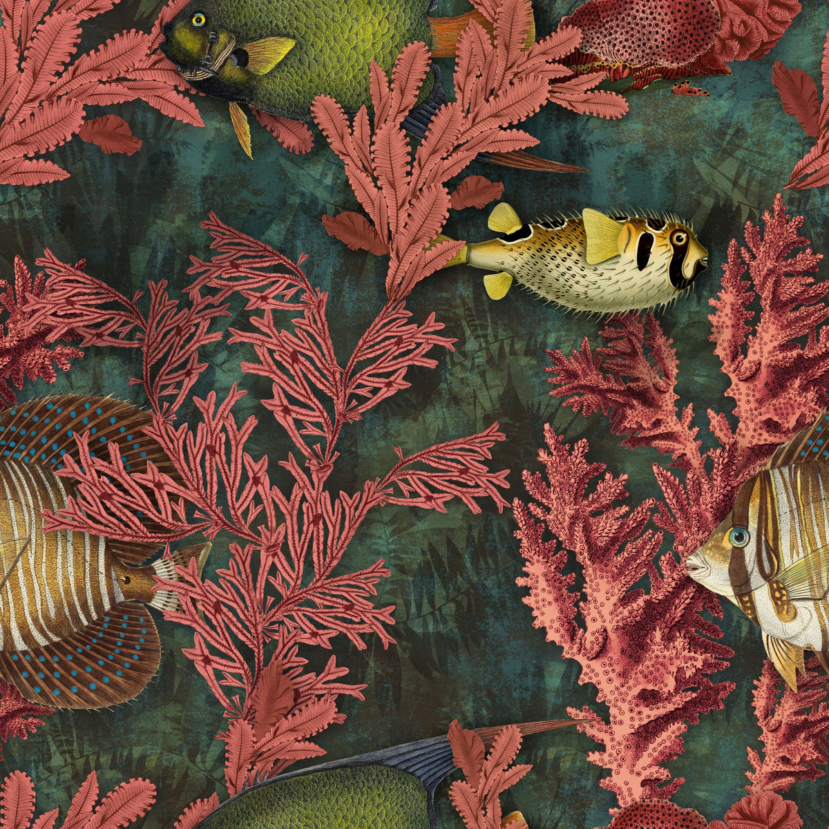 Coral Reef Mural Wallpaper - pure wallpaper artwork