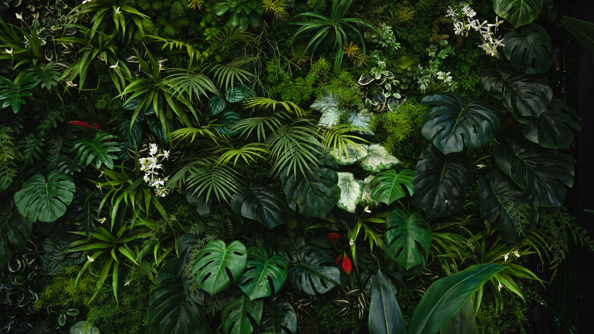 Welcome to Nirvana Mural Wallpaper - pure wallpaper artwork