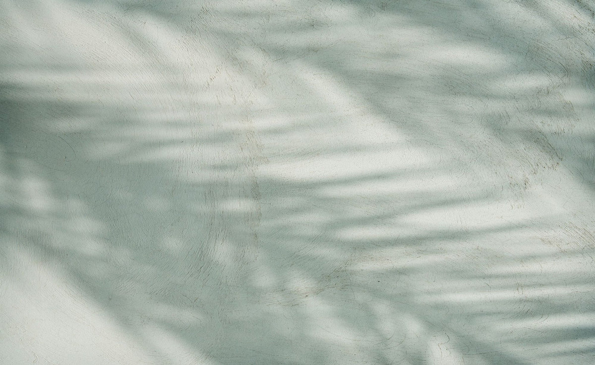 Palm Shadow III Mural Wallpaper - pure wallpaper artwork