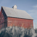 End of the Field Mural Wallpaper - pure wallpaper artwork