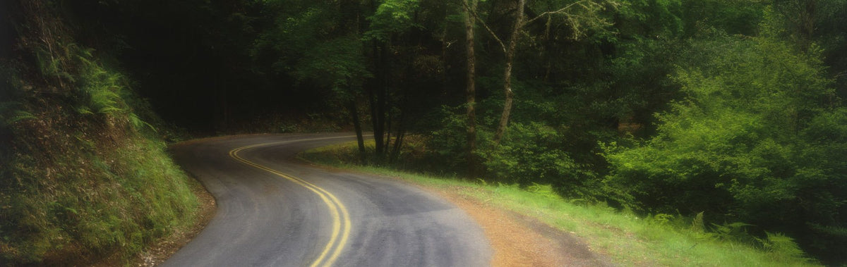 Winding Forest Path Mural Wallpaper - pure wallpaper artwork