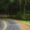 Winding Forest Path Mural Wallpaper - pure wallpaper artwork