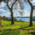 Framed Meadow Mural Wallpaper - pure wallpaper artwork