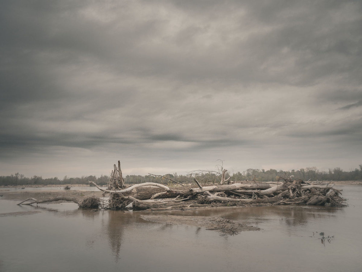 River Gigants Mural Wallpaper - pure wallpaper artwork