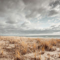 Atlantic Coast Mural Wallpaper - pure wallpaper artwork