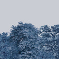 Over the Treetops, Blue Ink Mural Wallpaper - pure wallpaper artwork