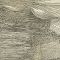 The Red Sea Mural Wallpaper - pure wallpaper artwork