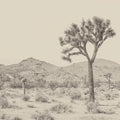 Joshua Tree Focus Mural Wallpaper - pure wallpaper artwork