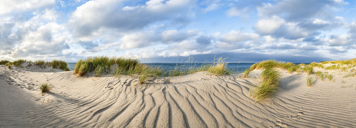 Dunes and Skies Mural Wallpaper - pure wallpaper artwork