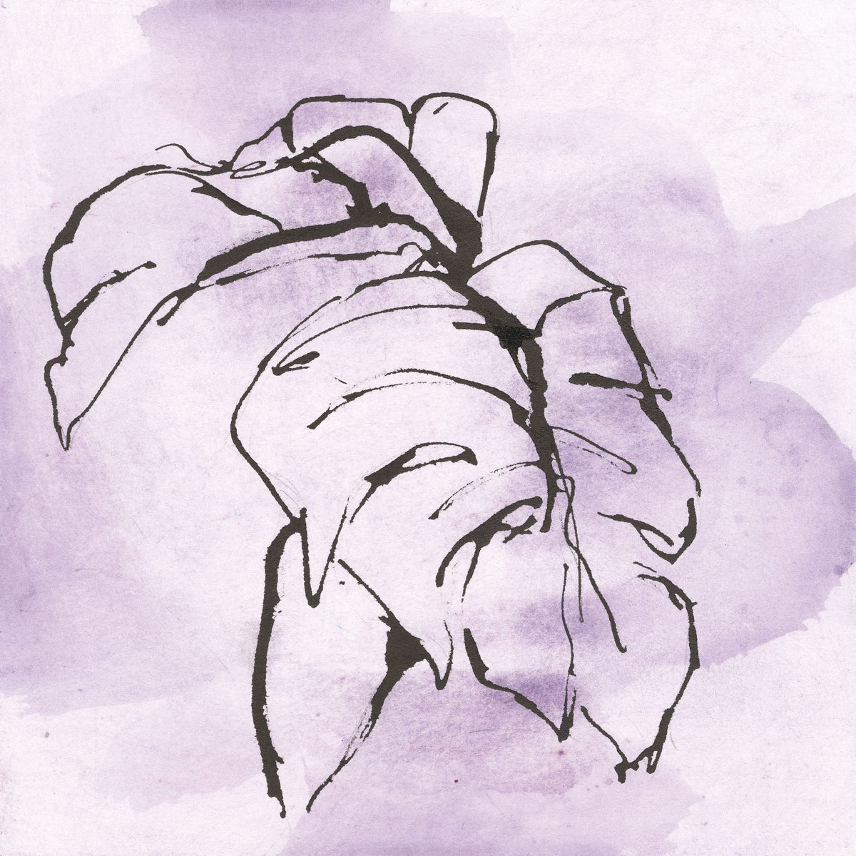 Midnight Plum Leaf I Mural Wallpaper - pure wallpaper artwork