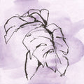 Midnight Plum Leaf I Mural Wallpaper - pure wallpaper artwork