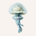 Coastal Bliss II Mural Wallpaper - pure wallpaper artwork