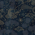 Moonlit Sky, Midnight Mural Wallpaper - pure wallpaper artwork