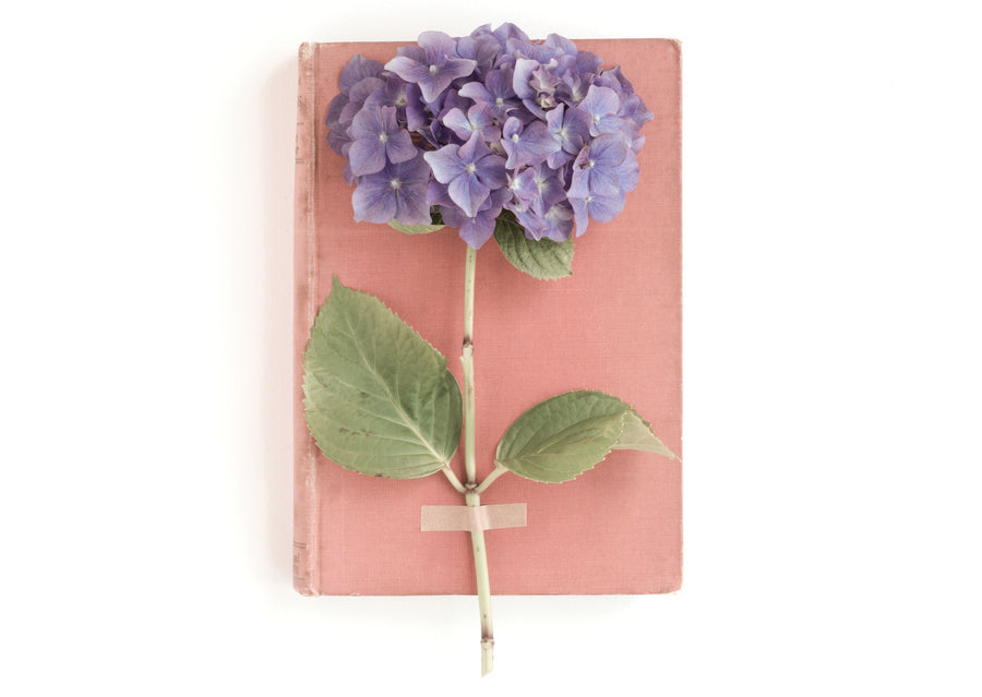 Purple Hydrangea on Book Mural Wallpaper