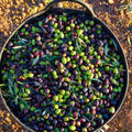 Olive Harvest Mural Wallpaper - pure wallpaper artwork