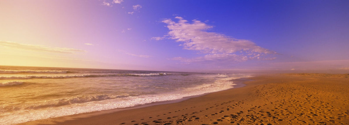 Golden Shoreline Mural Wallpaper - pure wallpaper artwork