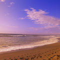 Golden Shoreline Mural Wallpaper - pure wallpaper artwork