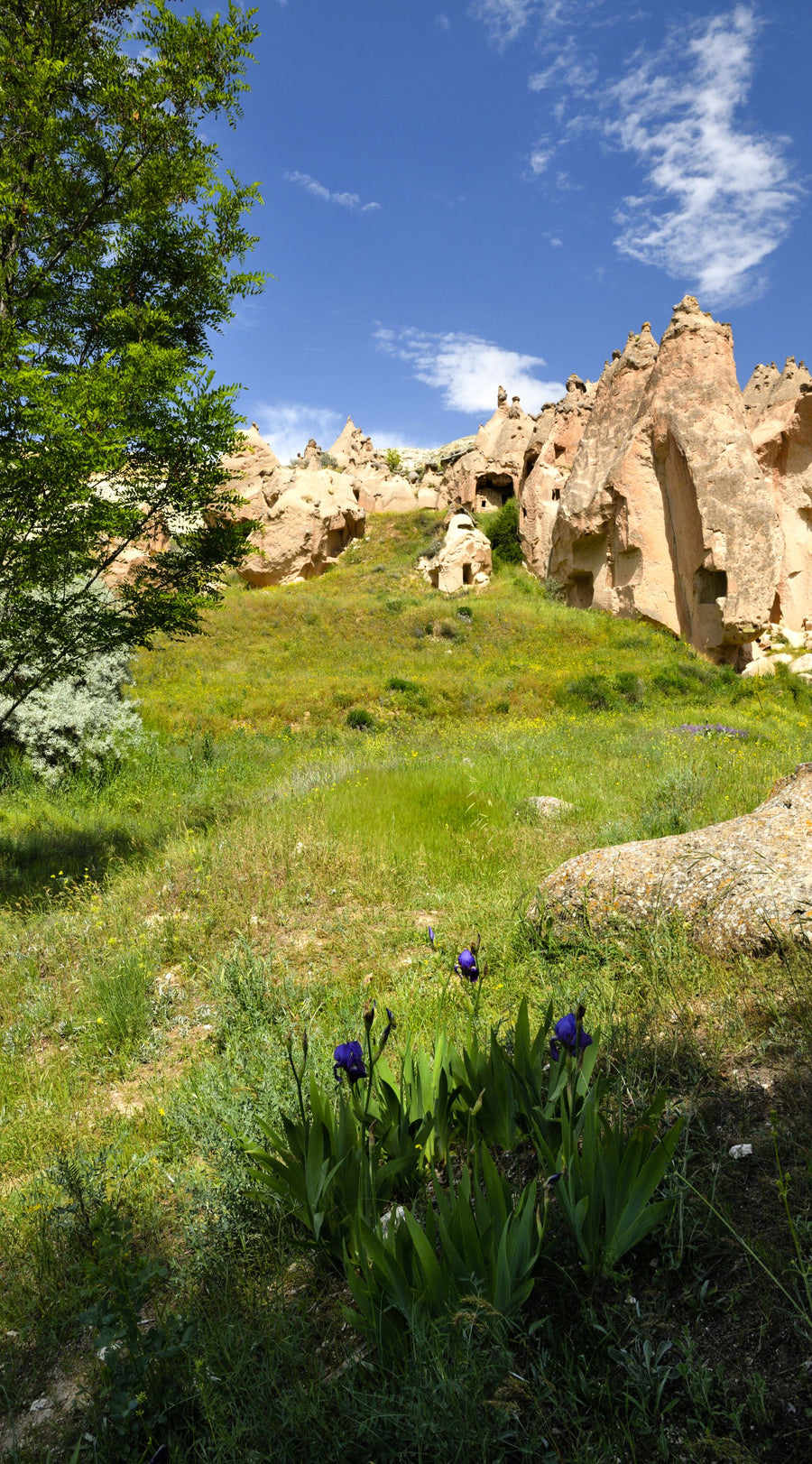 Purple Wildflower Canyon Mural Wallpaper