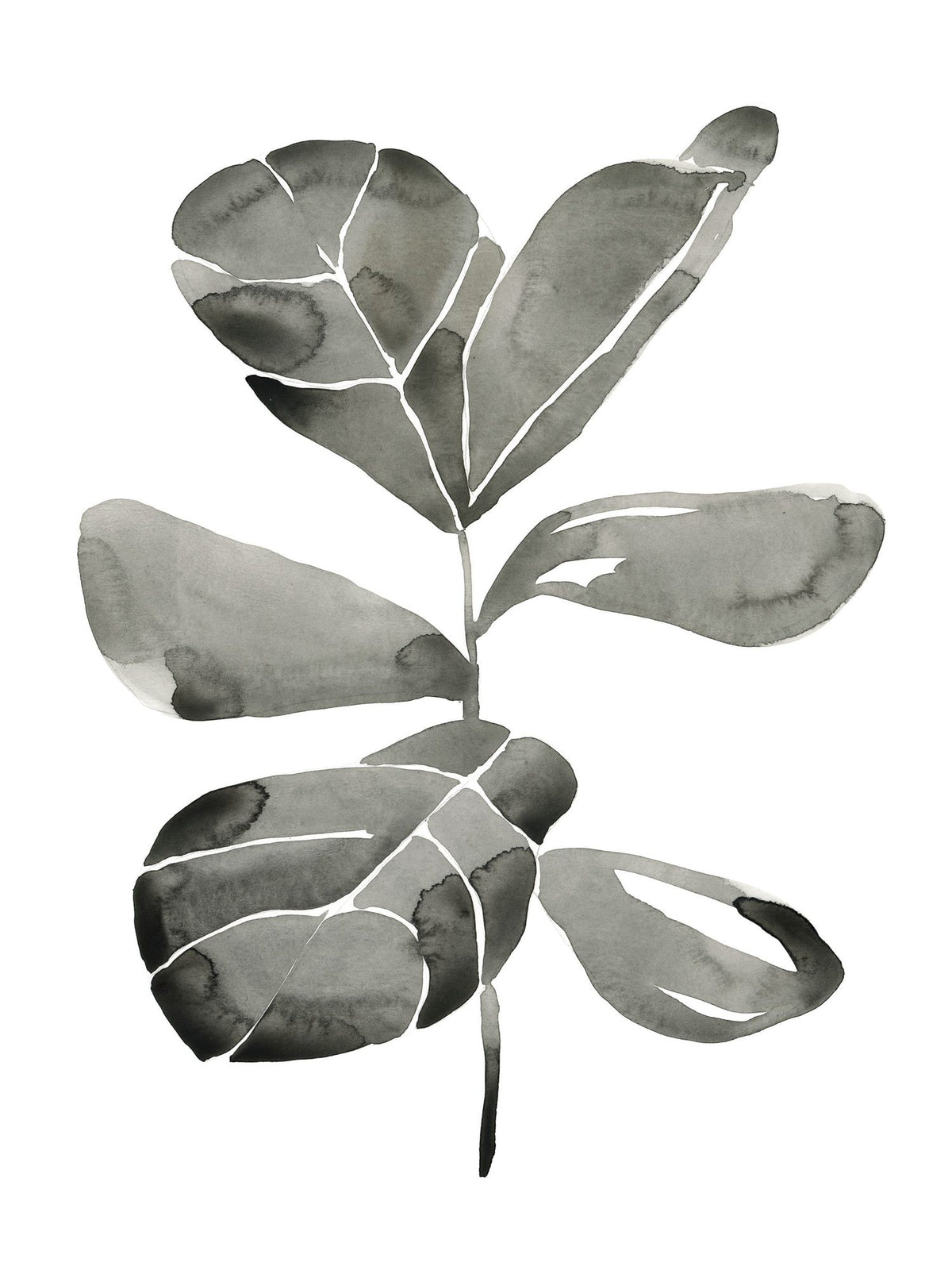 Fiddle Leaf III Mural Wallpaper - pure wallpaper artwork