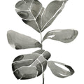 Fiddle Leaf III Mural Wallpaper - pure wallpaper artwork