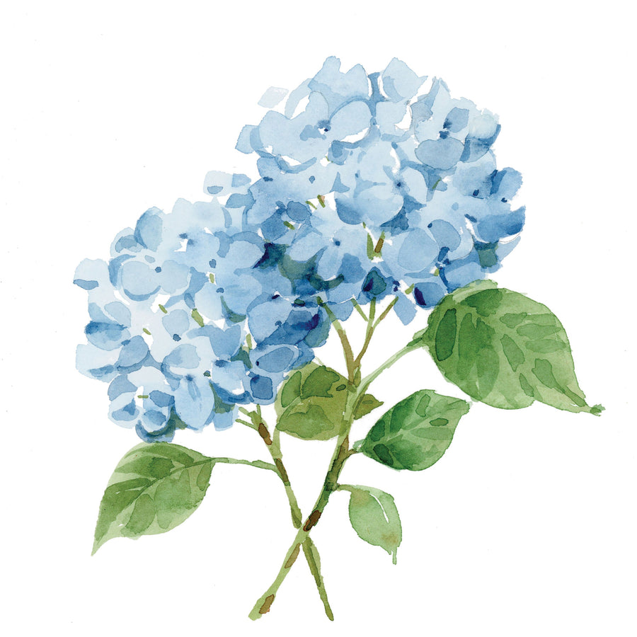Blue Hydrangea I Mural Wallpaper