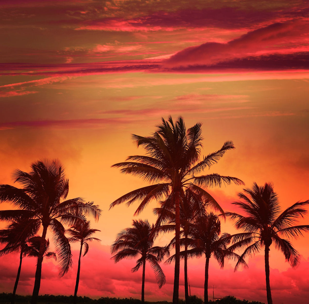 Miami Beach Sunset Mural Wallpaper - pure wallpaper artwork