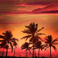 Miami Beach Sunset Mural Wallpaper - pure wallpaper artwork
