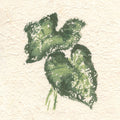 Textile Leaves II Mural Wallpaper - pure wallpaper artwork