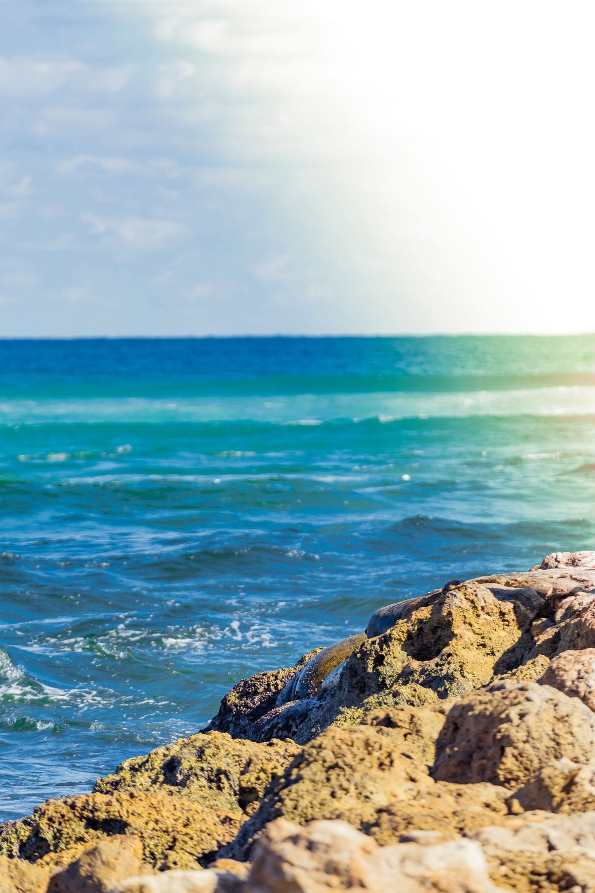 Serene Sea Mural Wallpaper - Blue Tone - pure wallpaper artwork