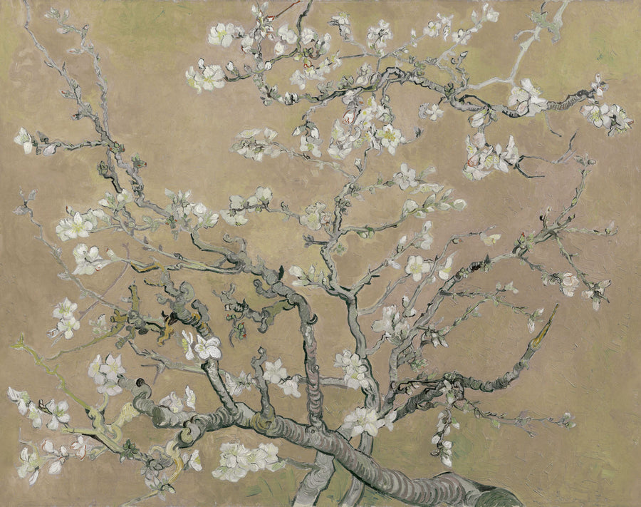 Almond Blossom, Warm Sand Mural Wallpaper