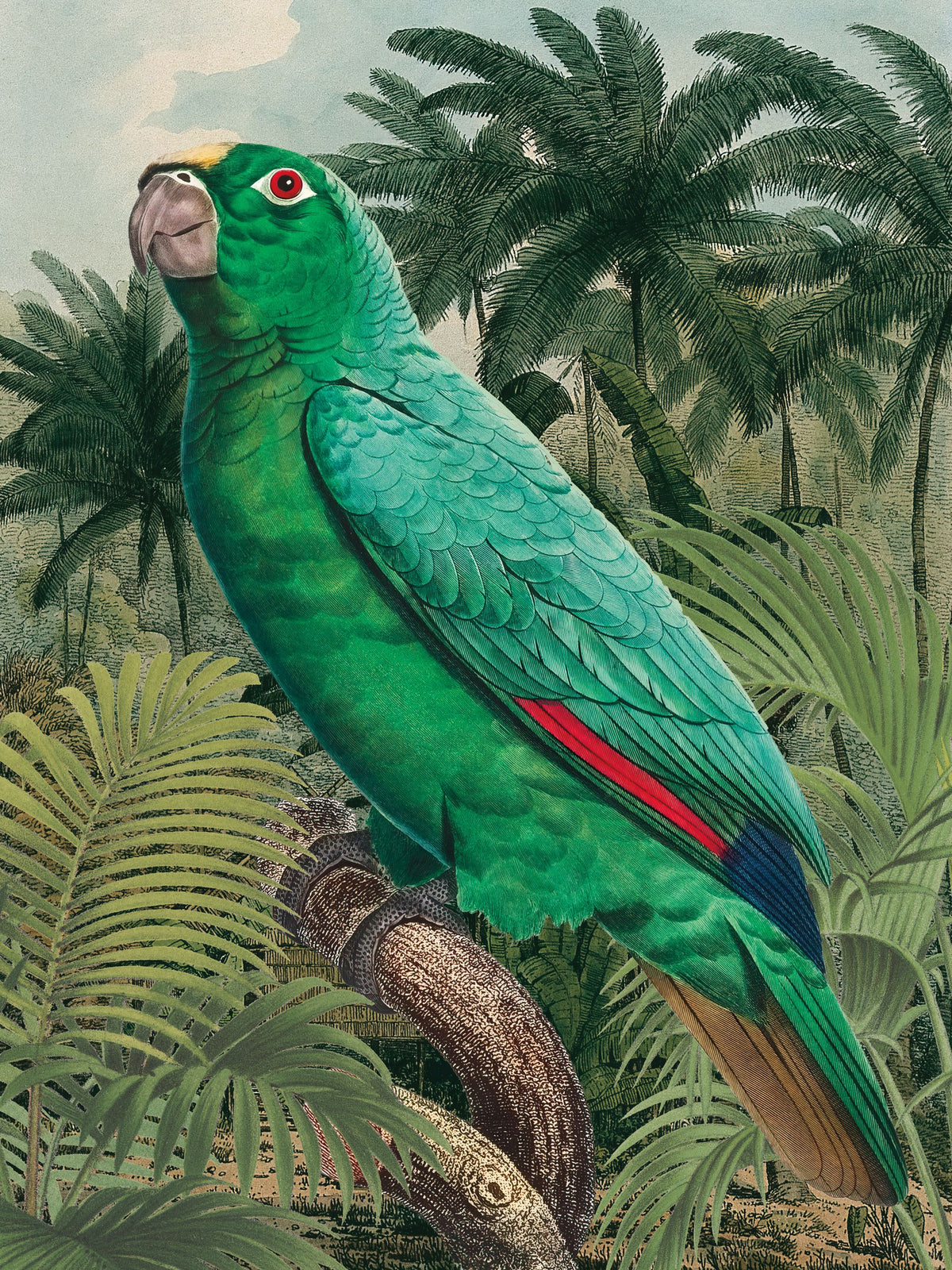 Jungle Parrot II Mural Wallpaper - pure wallpaper artwork