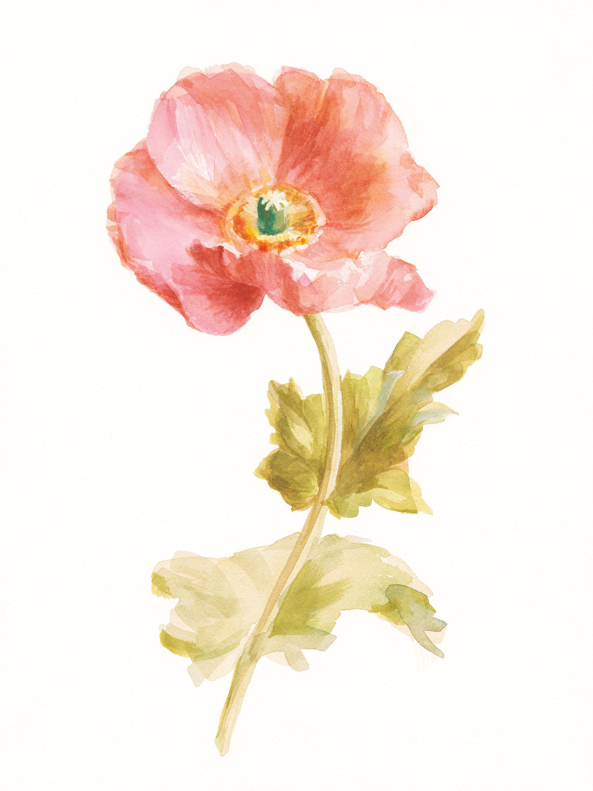 Garden Poppy on White Mural Wallpaper - pure wallpaper artwork