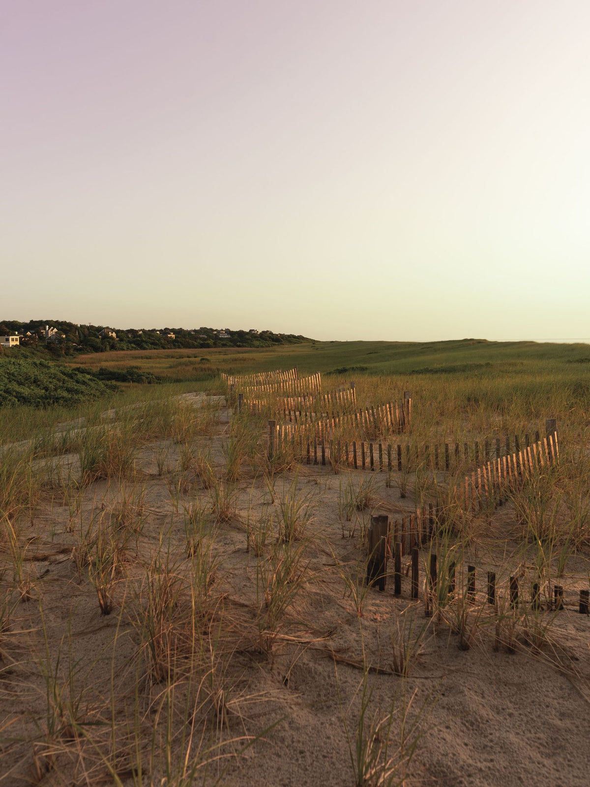 Light Over the Dunes Mural Wallpaper - pure wallpaper artwork