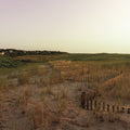 Light Over the Dunes Mural Wallpaper - pure wallpaper artwork