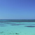 Florida Coast Mural Wallpaper - pure wallpaper artwork