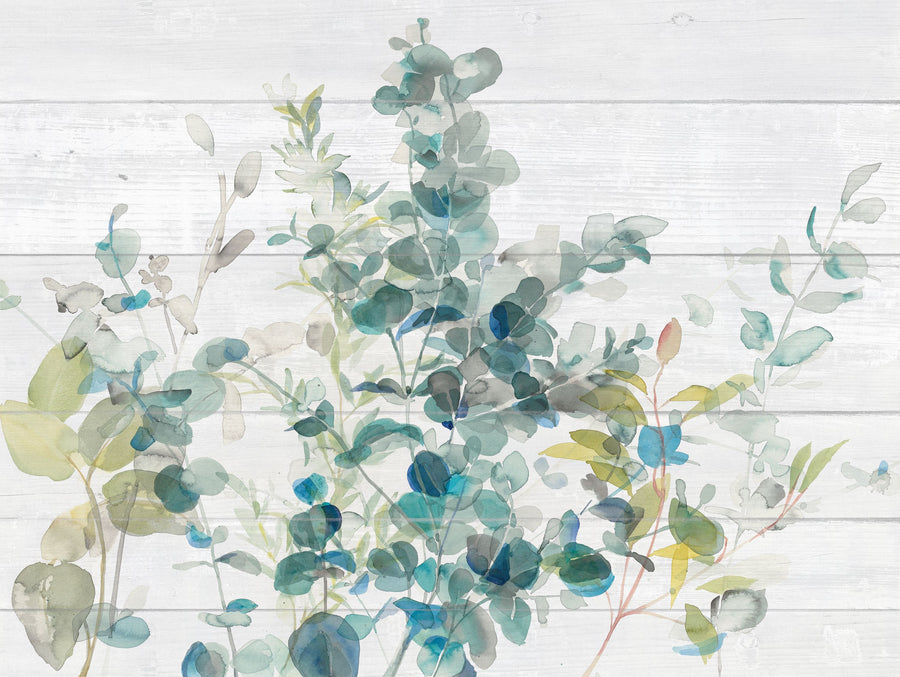 Eucalyptus I on Shiplap Mural Wallpaper