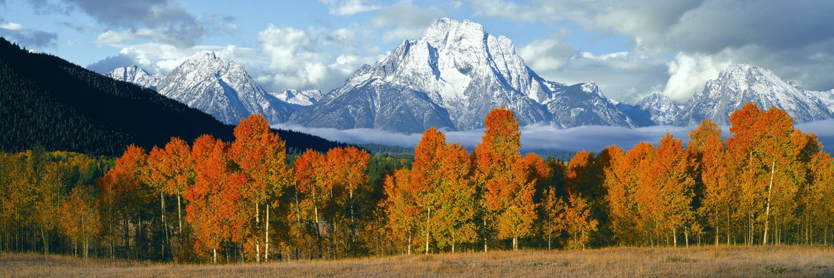 Misty Autumn Peaks Mural Wallpaper - pure wallpaper artwork