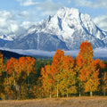 Misty Autumn Peaks Mural Wallpaper - pure wallpaper artwork