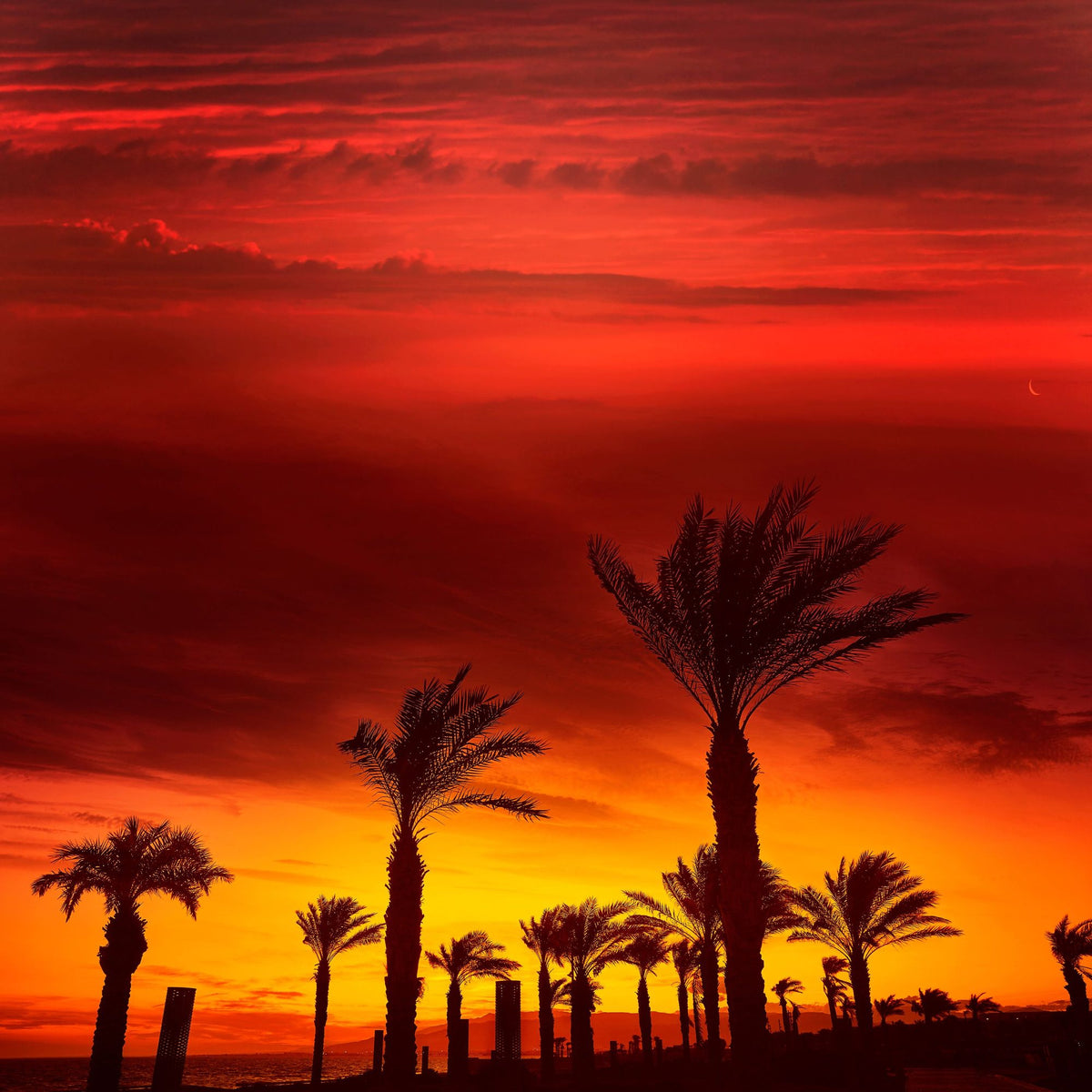 Retamar Beach Mural Wallpaper - pure wallpaper artwork