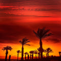 Retamar Beach Mural Wallpaper - pure wallpaper artwork