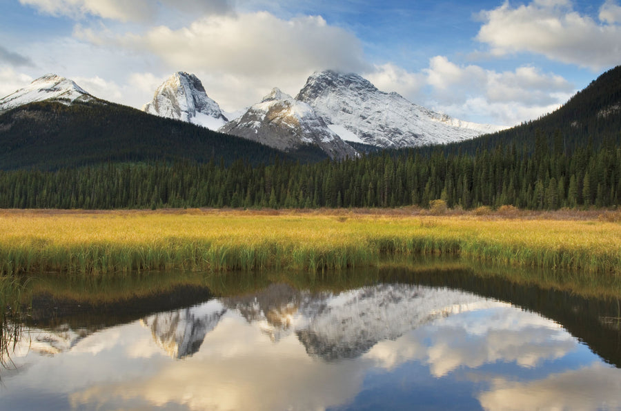 Kananaskis County Mural Wallpaper