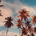Coachella Sunrise Mural Wallpaper - pure wallpaper artwork