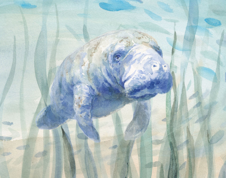 Manatee Undersea Mural Wallpaper