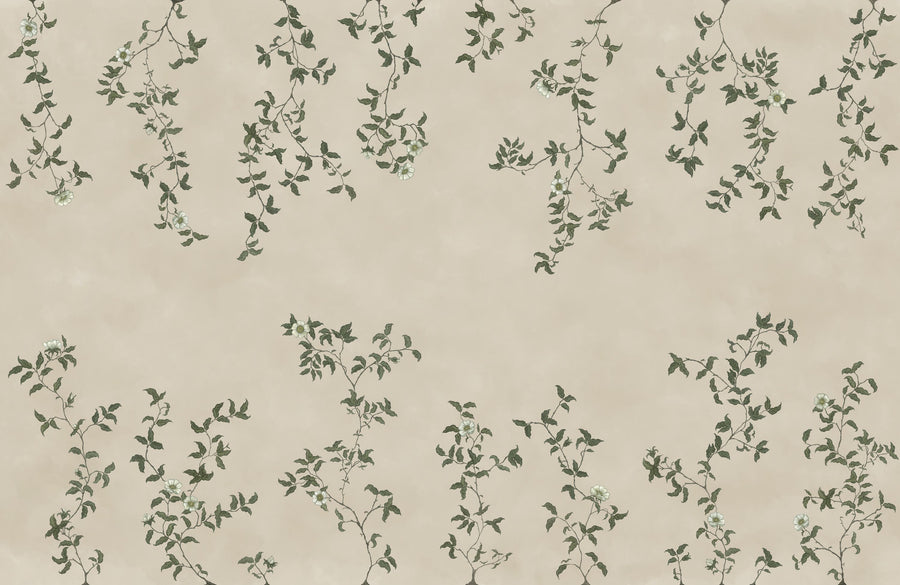 Rambling Rose, Ivory on Light Beige Mural Wallpaper